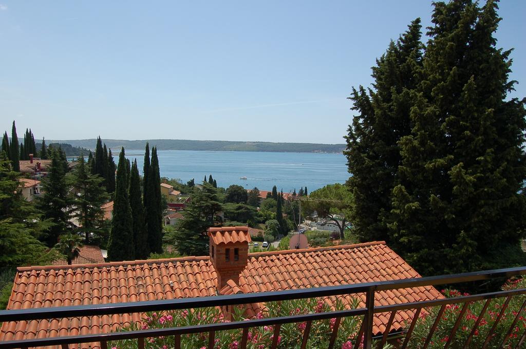 Mediteran